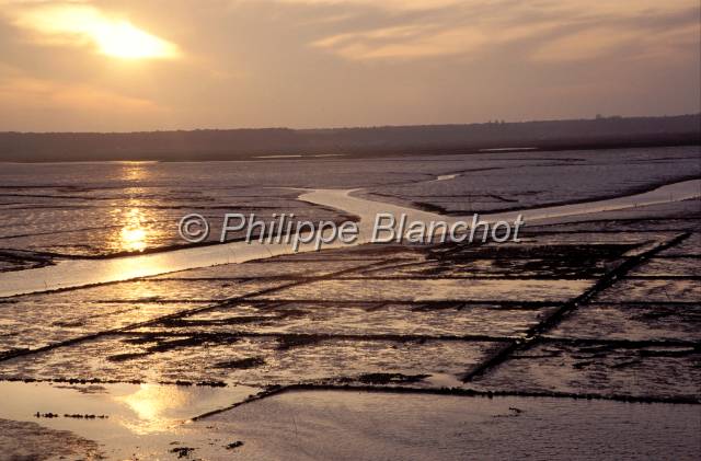 huitre oleron 08.JPG - Coucher de soleil sur Marennes OléronParcs ostréicolesFrance